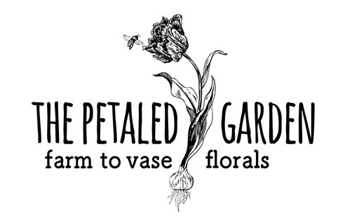 TPG logo wtag-for website